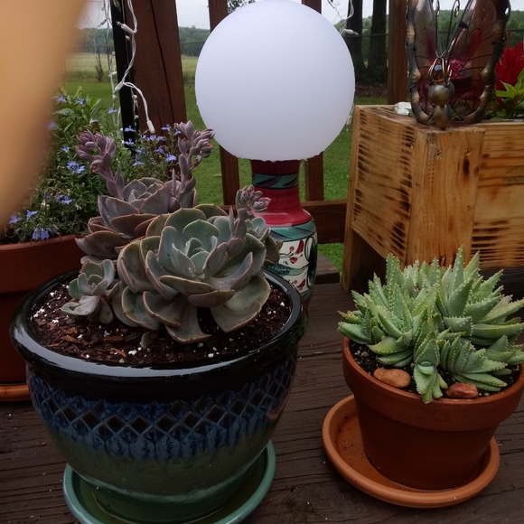 Meet your Posher, Lynn - Picture 1 of 2